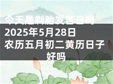 今天是剃胎发吉日吗 2025年5月28日农历五月初二黄历日子好吗