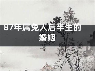 87年属兔人后半生的婚姻
