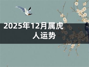 2025年12月属虎人运势