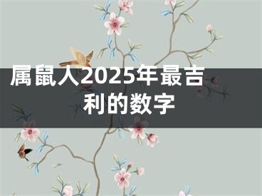 属鼠人2025年最吉利的数字