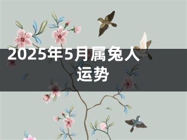 2025年5月属兔人运势