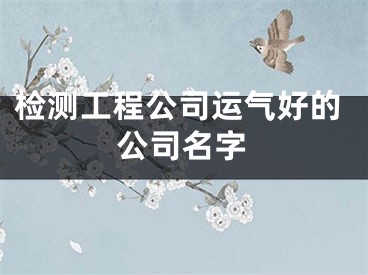 检测工程公司运气好的公司名字