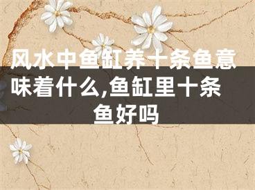 风水中鱼缸养十条鱼意味着什么,鱼缸里十条鱼好吗