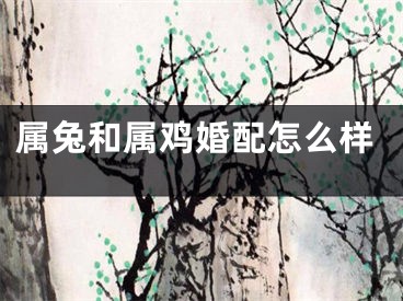 属兔和属鸡婚配怎么样