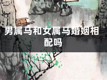 男属马和女属马婚姻相配吗