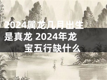 2024属龙几月出生是真龙 2024年龙宝五行缺什么