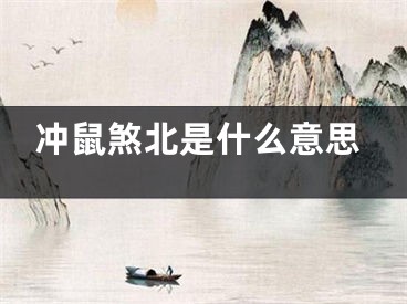 冲鼠煞北是什么意思