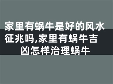 家里有蜗牛是好的风水征兆吗,家里有蜗牛吉凶怎样治理蜗牛