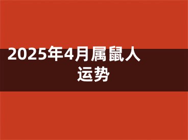2025年4月属鼠人运势