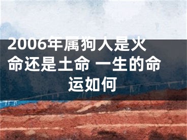 2006年属狗人是火命还是土命 一生的命运如何