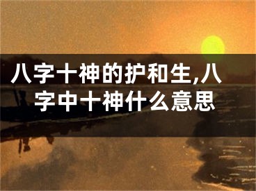 八字十神的护和生,八字中十神什么意思