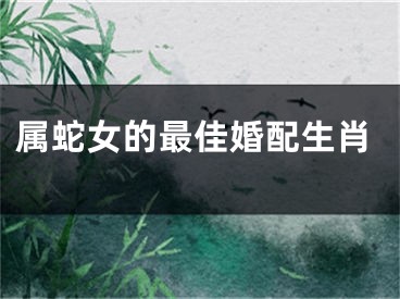 属蛇女的最佳婚配生肖