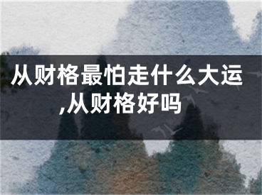 从财格最怕走什么大运,从财格好吗
