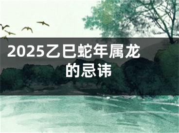 2025乙巳蛇年属龙的忌讳