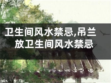 卫生间风水禁忌,吊兰放卫生间风水禁忌