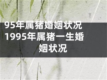 95年属猪婚姻状况 1995年属猪一生婚姻状况