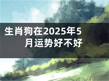 生肖狗在2025年5月运势好不好