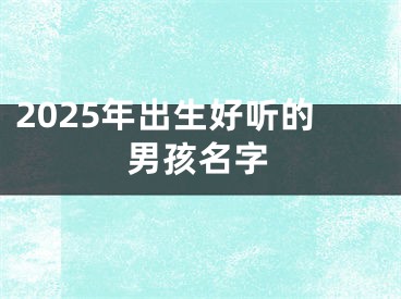 2025年出生好听的男孩名字