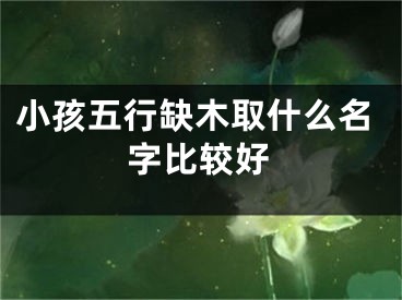 小孩五行缺木取什么名字比较好
