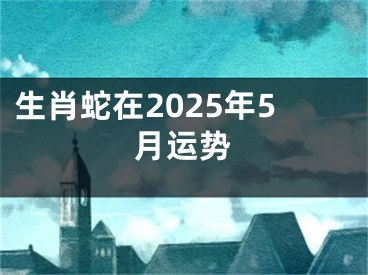 生肖蛇在2025年5月运势