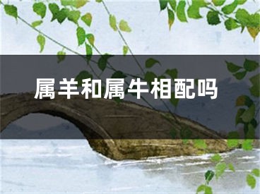 属羊和属牛相配吗