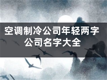 空调制冷公司年轻两字公司名字大全