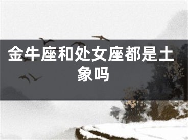 金牛座和处女座都是土象吗