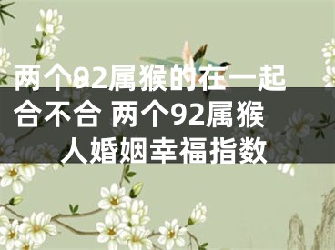 两个92属猴的在一起合不合 两个92属猴人婚姻幸福指数
