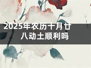 2025年农历十月廿八动土顺利吗