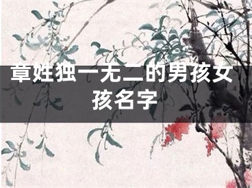 章姓独一无二的男孩女孩名字
