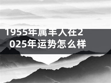 1955年属羊人在2025年运势怎么样