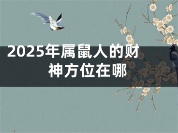 2025年属鼠人的财神方位在哪