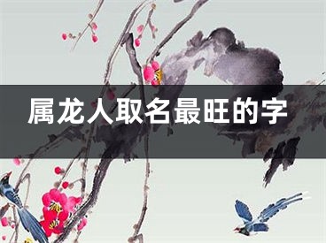 属龙人取名最旺的字