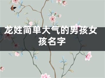 龙姓简单大气的男孩女孩名字
