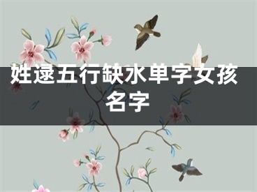 姓逯五行缺水单字女孩名字
