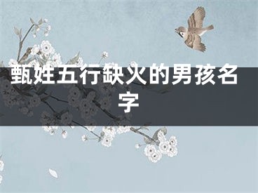 甄姓五行缺火的男孩名字