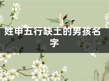姓申五行缺土的男孩名字