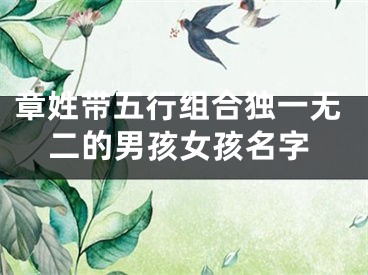 章姓带五行组合独一无二的男孩女孩名字