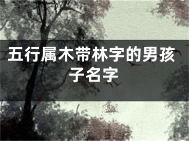五行属木带林字的男孩子名字