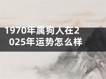 1970年属狗人在2025年运势怎么样