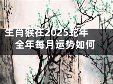 生肖猴在2025蛇年全年每月运势如何