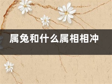 属兔和什么属相相冲