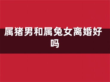属猪男和属兔女离婚好吗