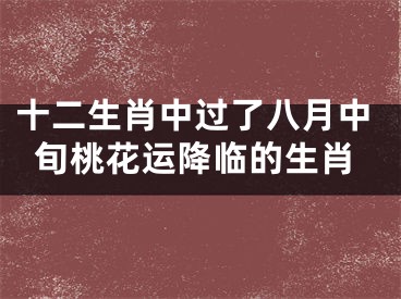 十二生肖中过了八月中旬桃花运降临的生肖