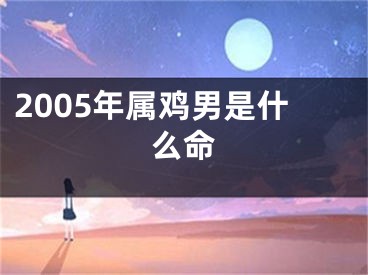 2005年属鸡男是什么命