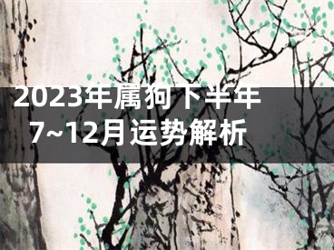 2023年属狗下半年7~12月运势解析