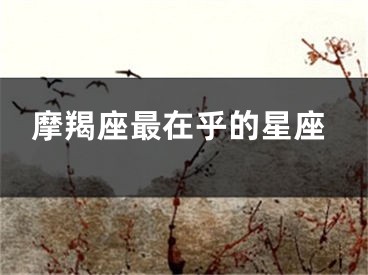 摩羯座最在乎的星座