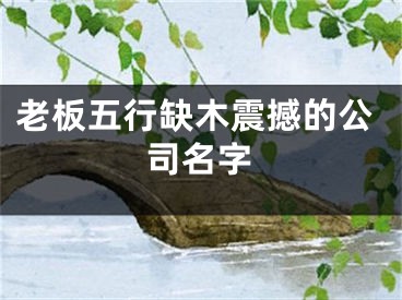 老板五行缺木震撼的公司名字