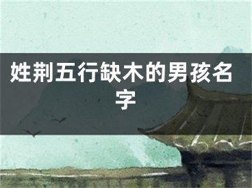 姓荆五行缺木的男孩名字