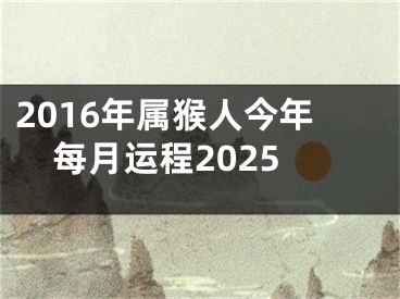 2016年属猴人今年每月运程2025